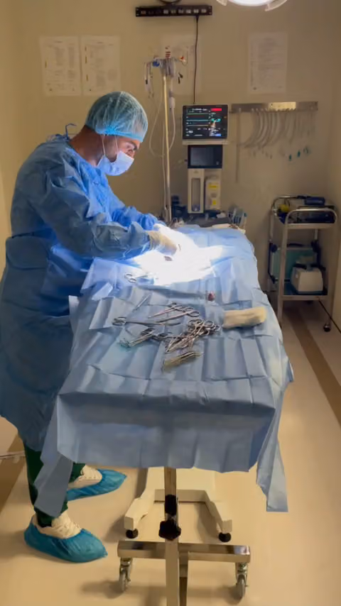 عيادة سلام للحيوانات الأليفة Salam Pets Clinics
