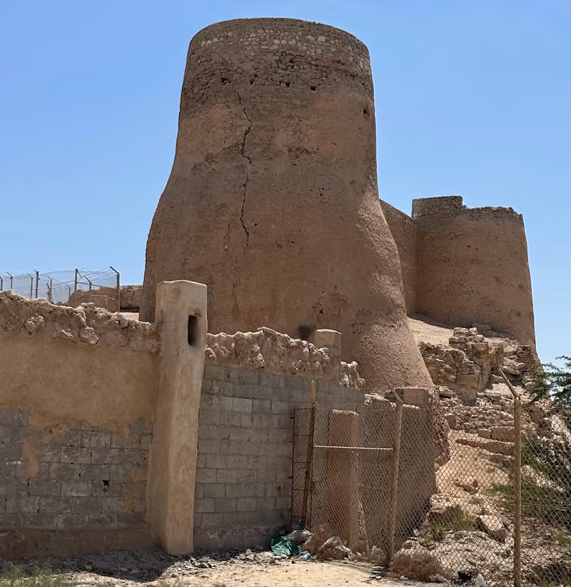 عين العودة