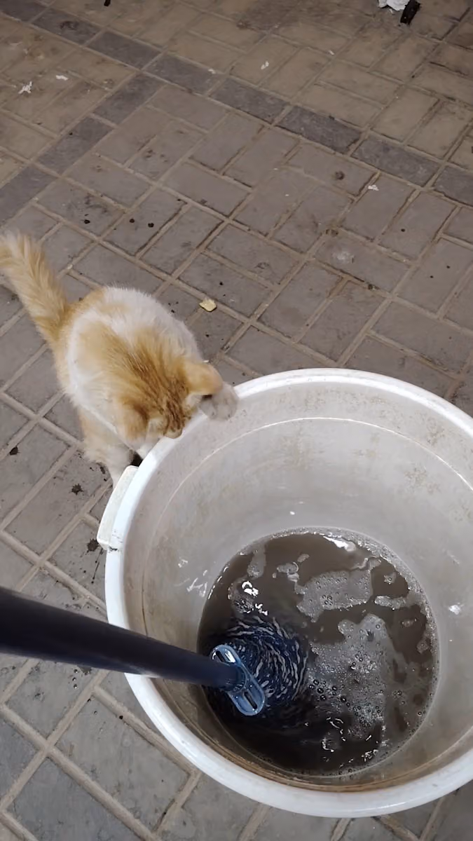 Balal Landry بلل مغسل Bangladeshi