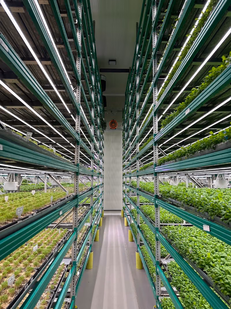 Bather Smart Farm مزرعة باذر الذكية