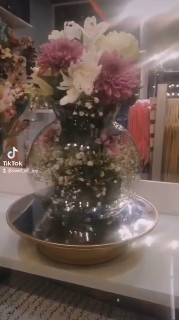 بذور الفرح Seeds of Joy