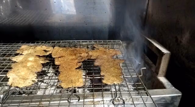 بدون