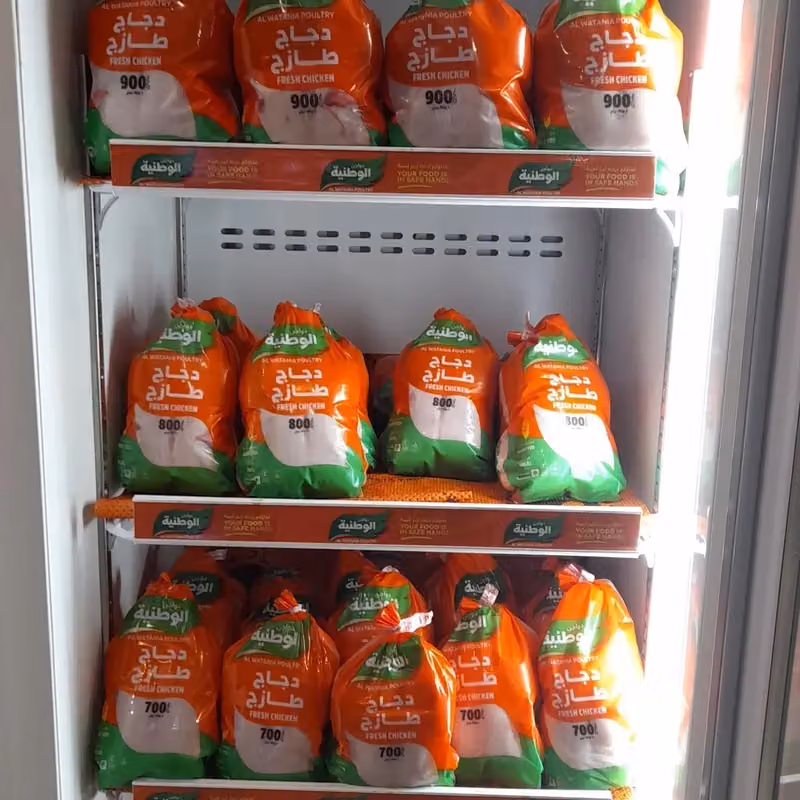 بهار الرحلة