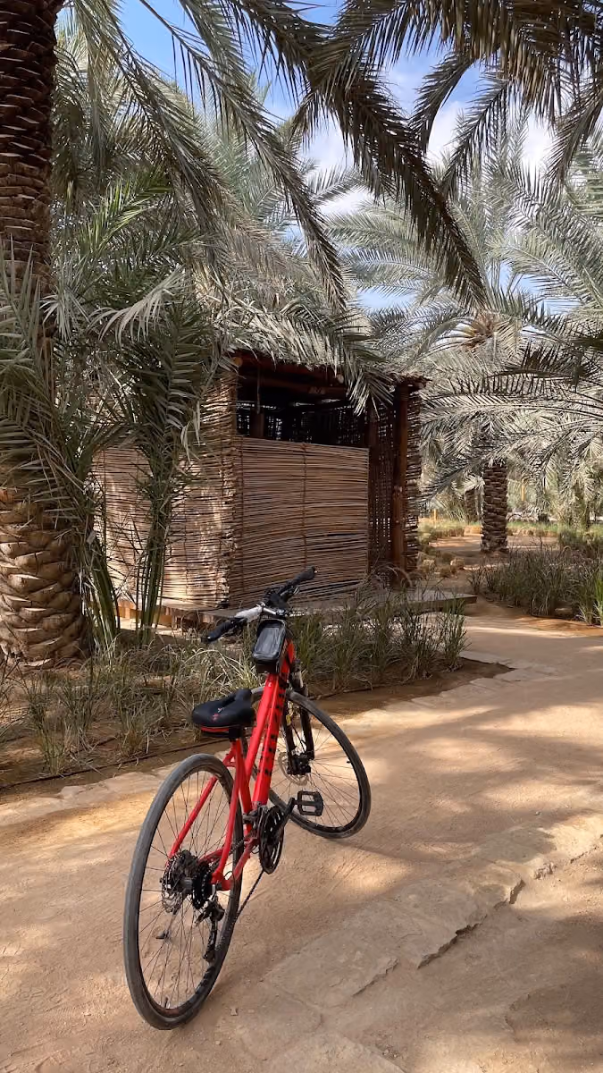bicycles