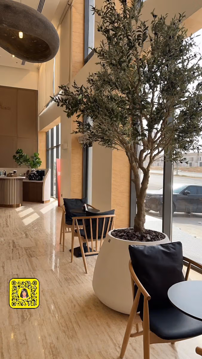 Binge Flagship Showroom | بنج