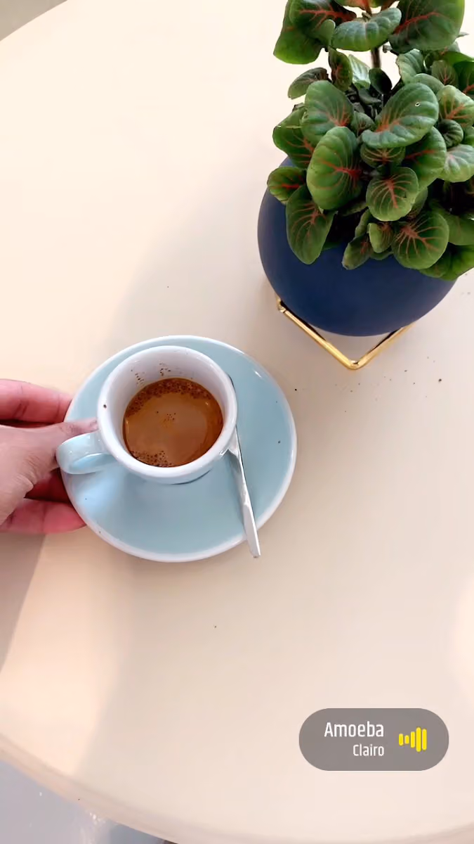 Plant Cafe