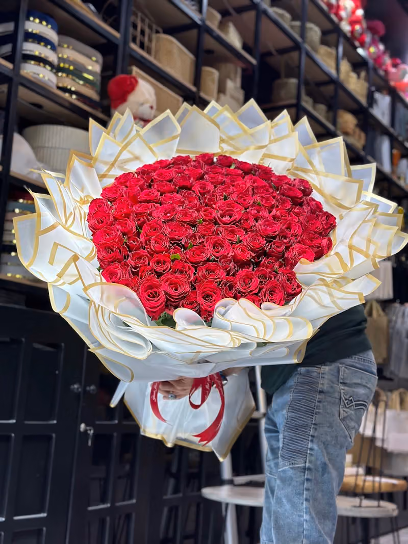 بلوم آند كوف Bloom & cove