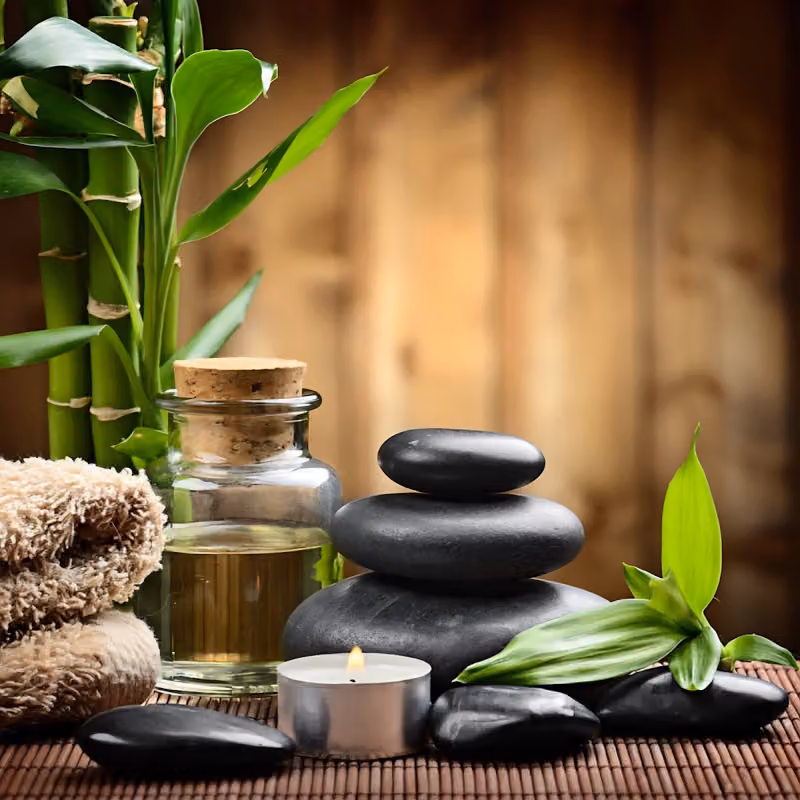 Body Care & Massage Plus+ by SENSE CALM