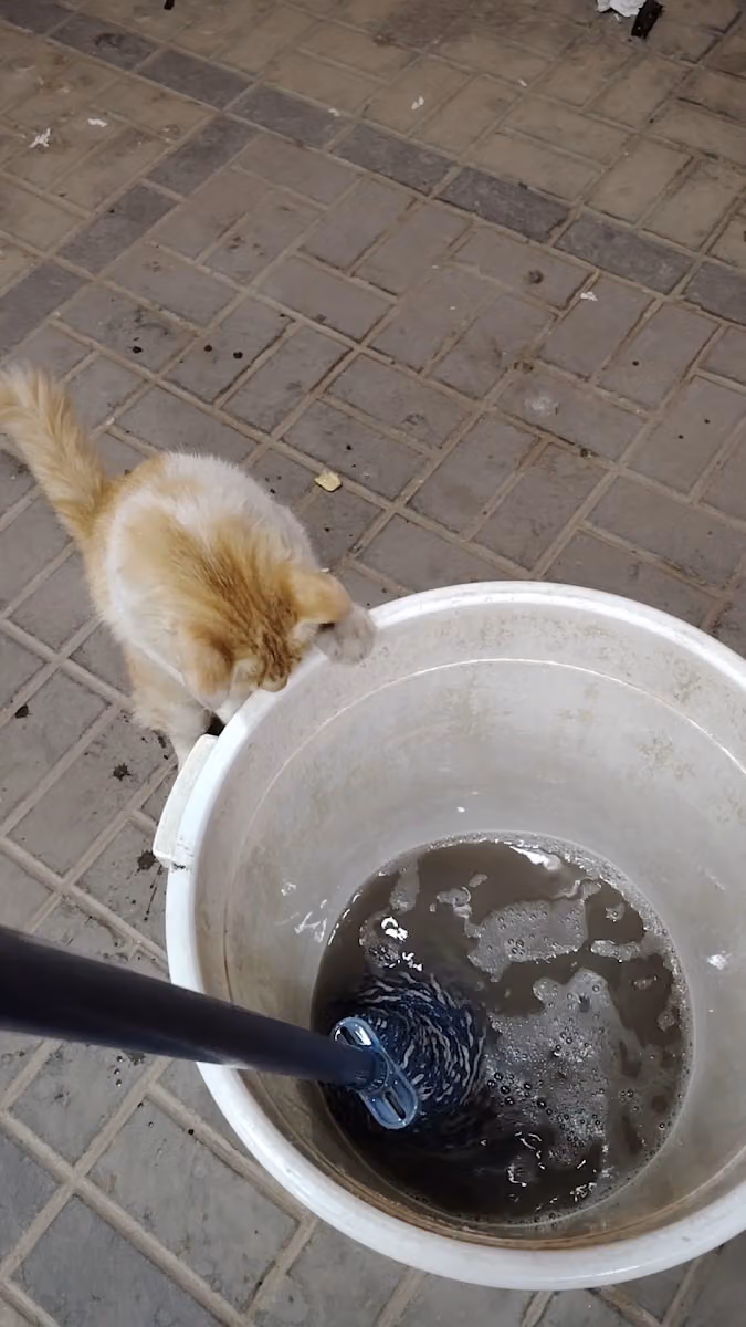 بقاله ينابيع المجد