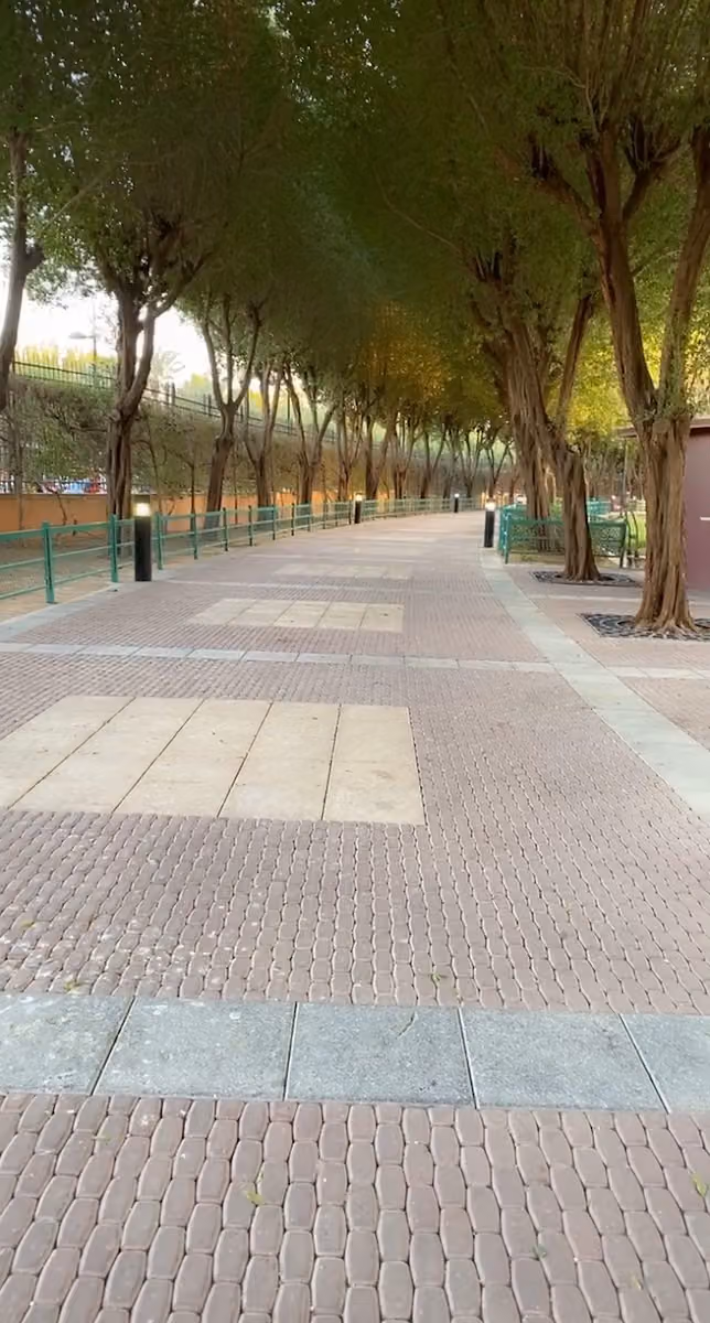 برحة حي السلام