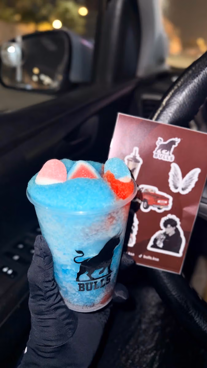 BULLS|بولز