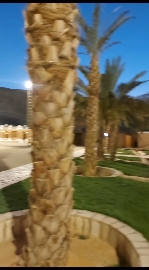 بوفية أثير الخليج (جنائن الطائف) سابقا