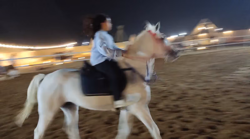 بوفية باشة