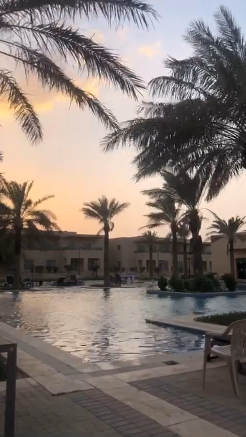 بونيتا