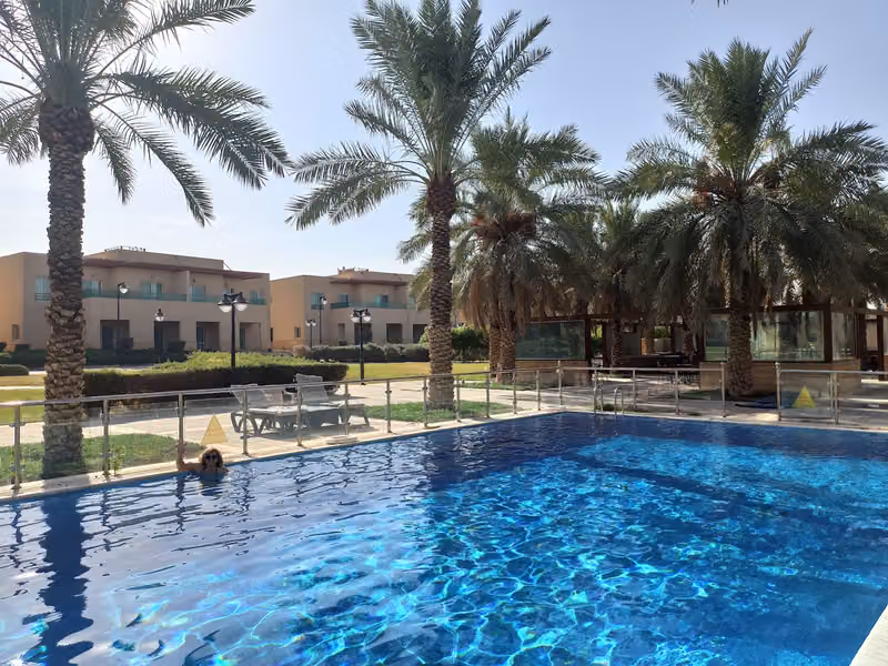 بونيتا