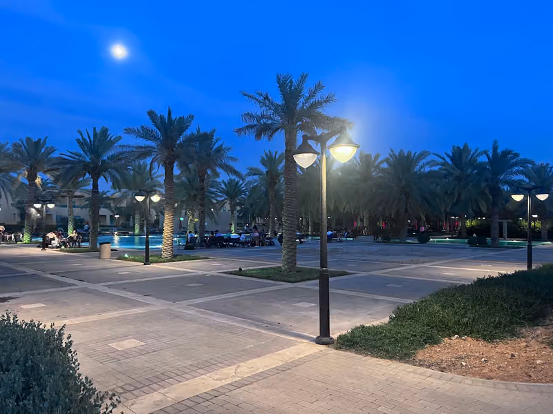 بونيتا