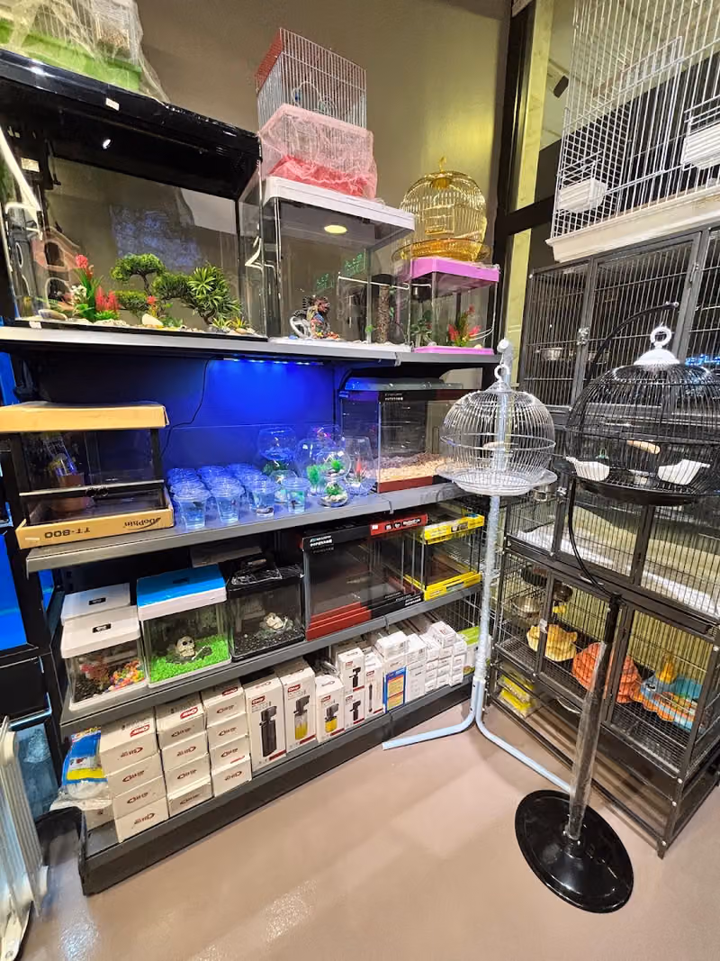 بين للحيوانات الاليفة فرع الغدير 2 BEN PET SHOP