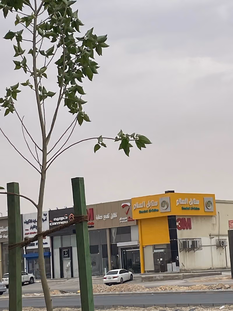 بيت الرياض للأثاث