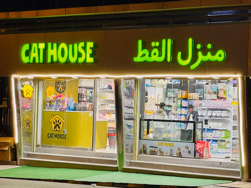 Cat House -‏منزل القط