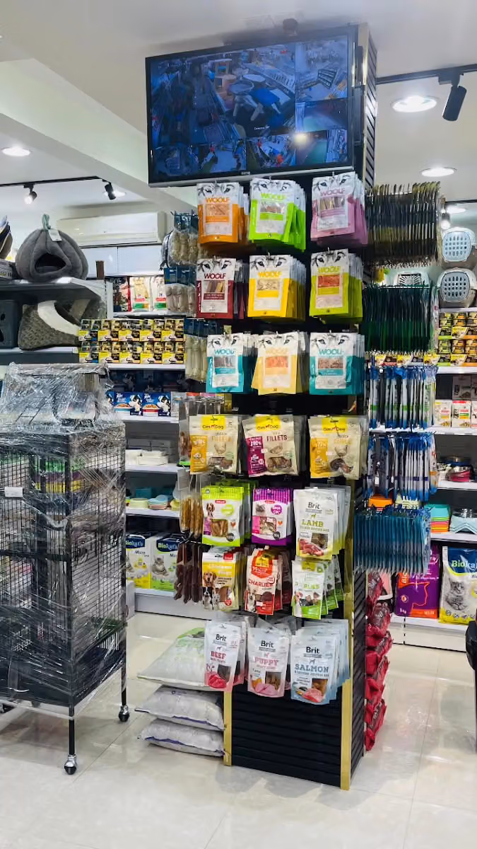 Cat House -‏منزل القط