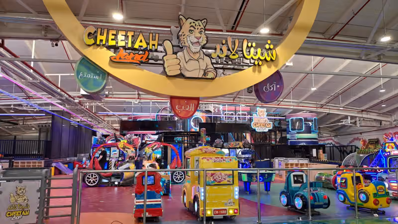 Cheetah Land