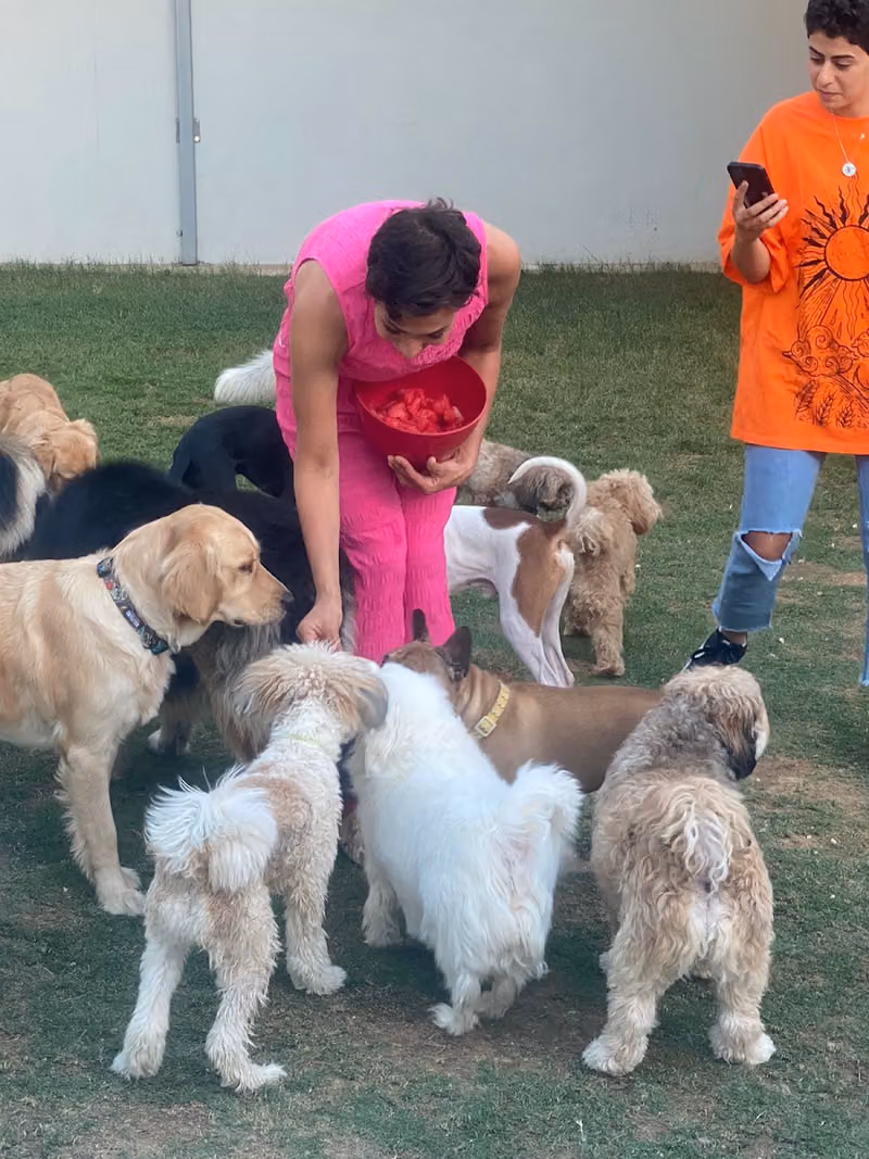 Chez Ayah Pet Hotel and Daycare