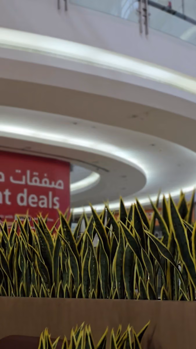 Coffee Address | عنوان القهوة