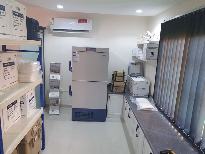 Cold Chain Logistics