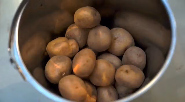 Country Chips
