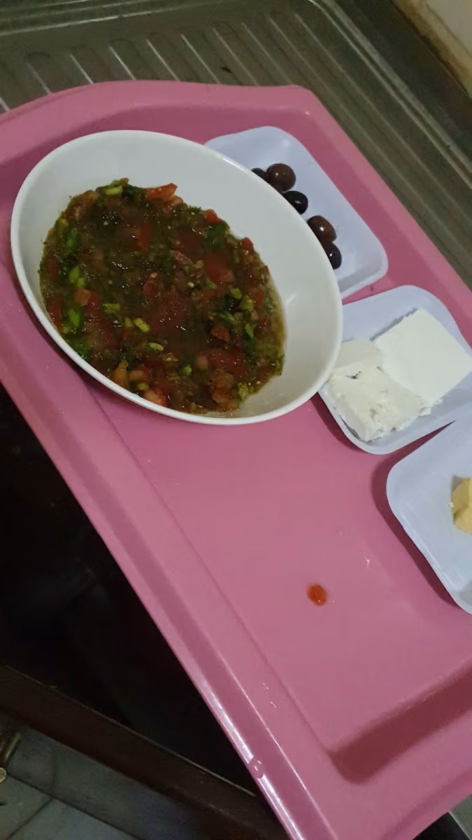 دار التوليب