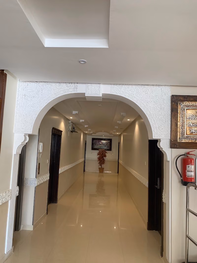 دار التوليب