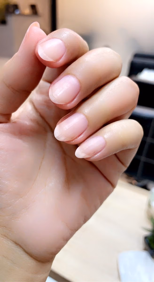 دبليو صالون Wsalon