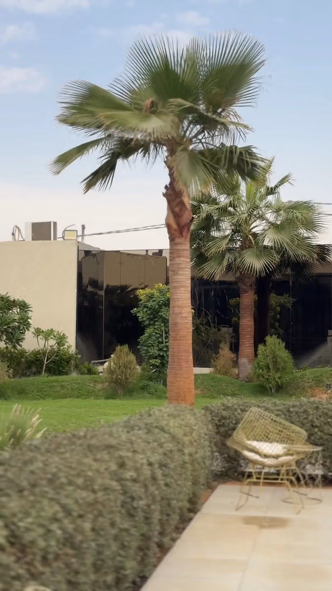 DEYAM LANDSCAPE ديم لاندسكيب