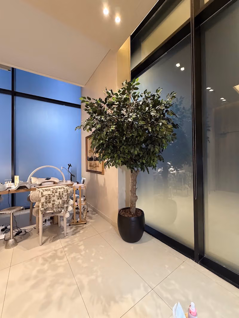 ذا لاش لاينـز بيوتي ستـديـو | The Lush Lines Beauty Studio