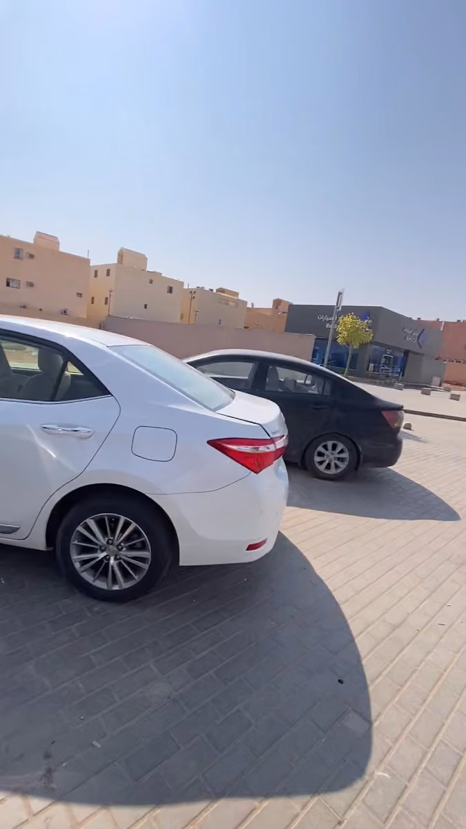 ذيب لتأجير السيارات