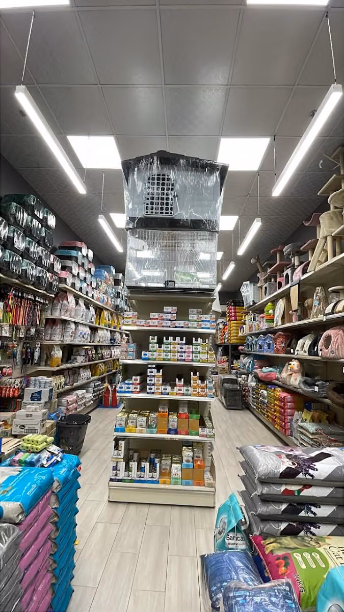 دلفين للحيوانات الأليفة
