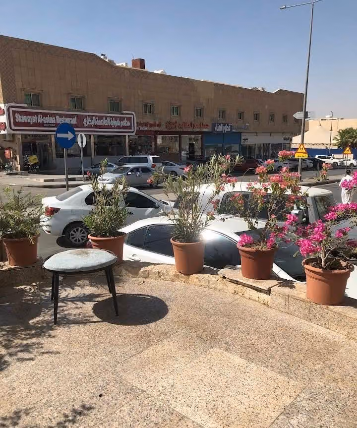 دلة وشاهي الترويقة