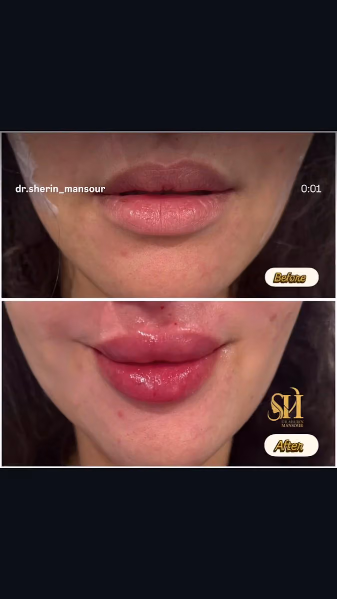 Dr Sherin Mansour