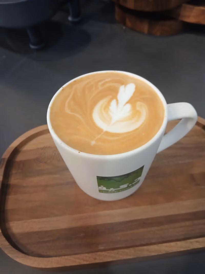 dr.CAFE Al Khaleej Park | د.كيف حديقة الخليج | Manual Brew
