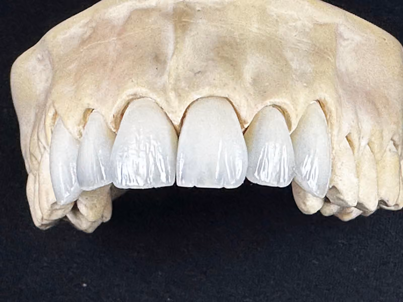 DR.SAMIR HADDAD DENTAL د. سمير حداد لطب وجراحة الأسنان