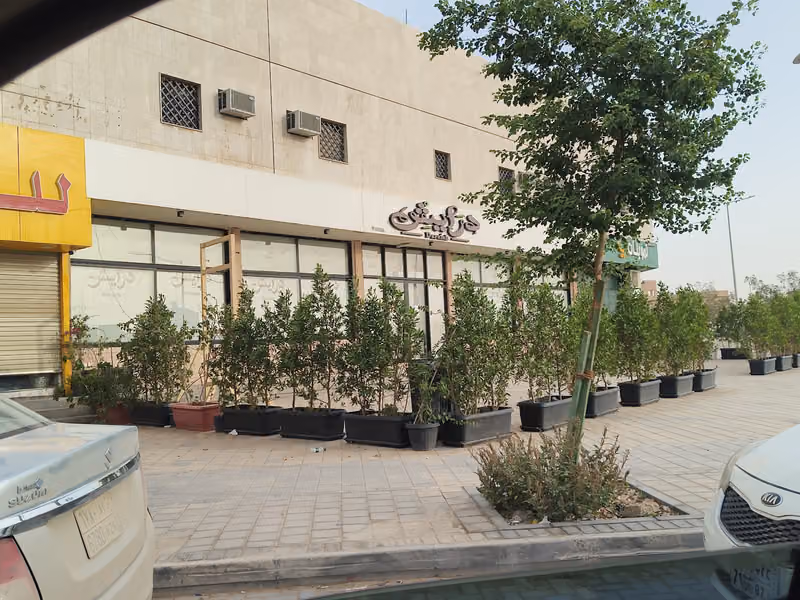 درايش كافيه