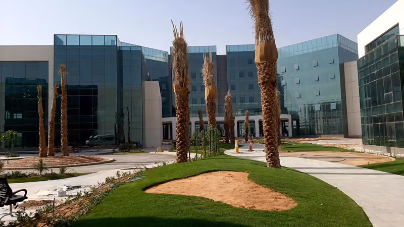 دسر - الشركة العربية السعودية للاستثمارات الصناعية