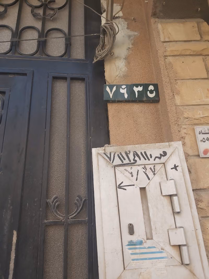 دواجن البركة