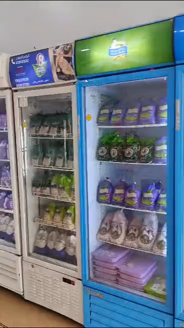 دواجن الردمة