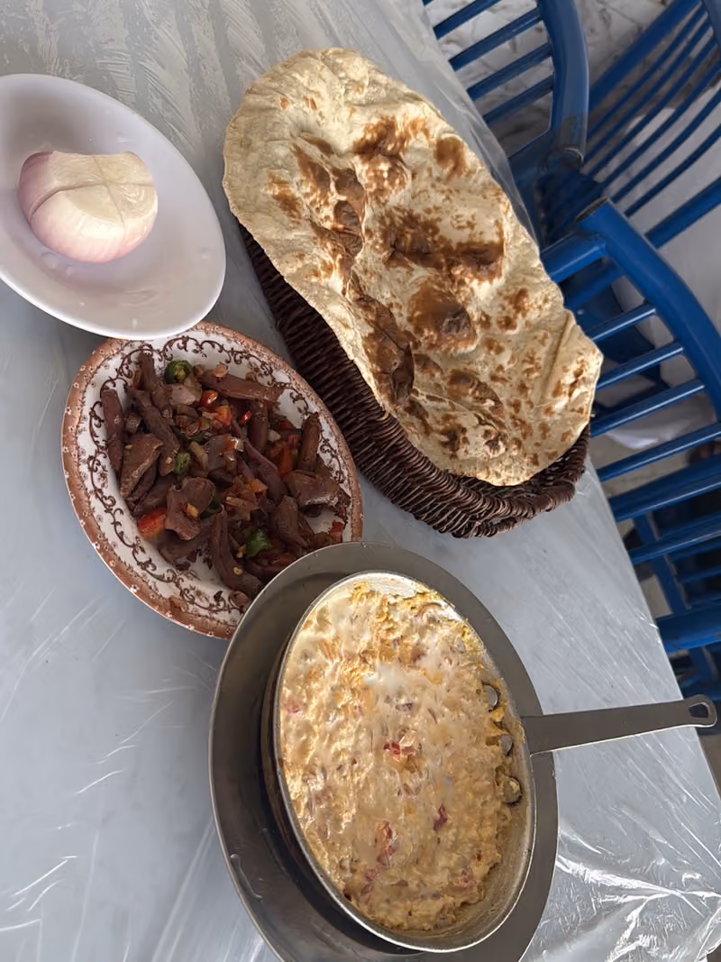دوار الكبدة