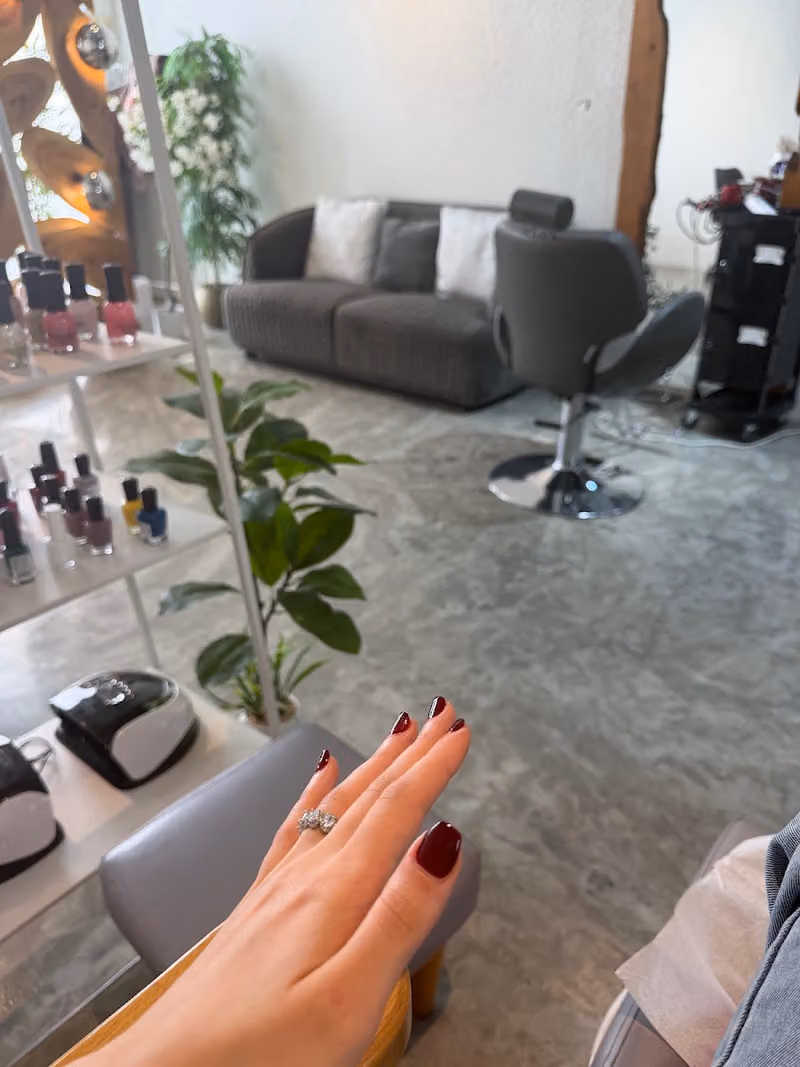 دي صالون | D SALON