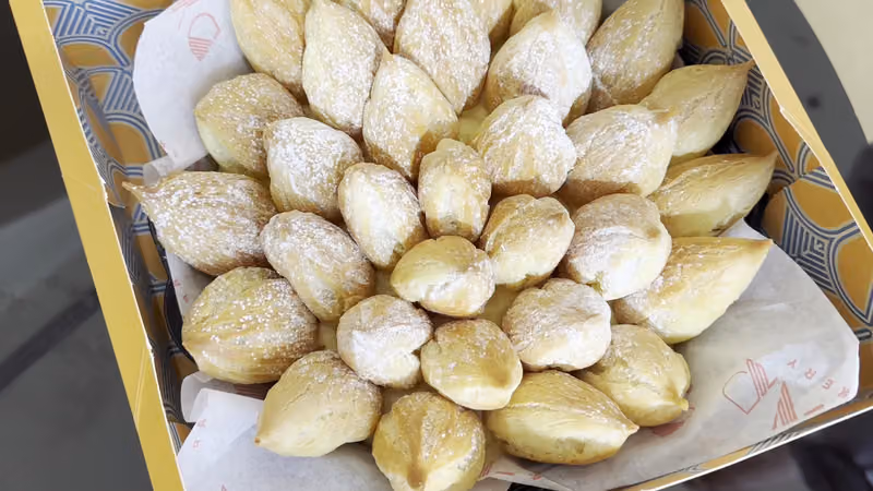 شركة ديار بيكري التجارية (سحابي)