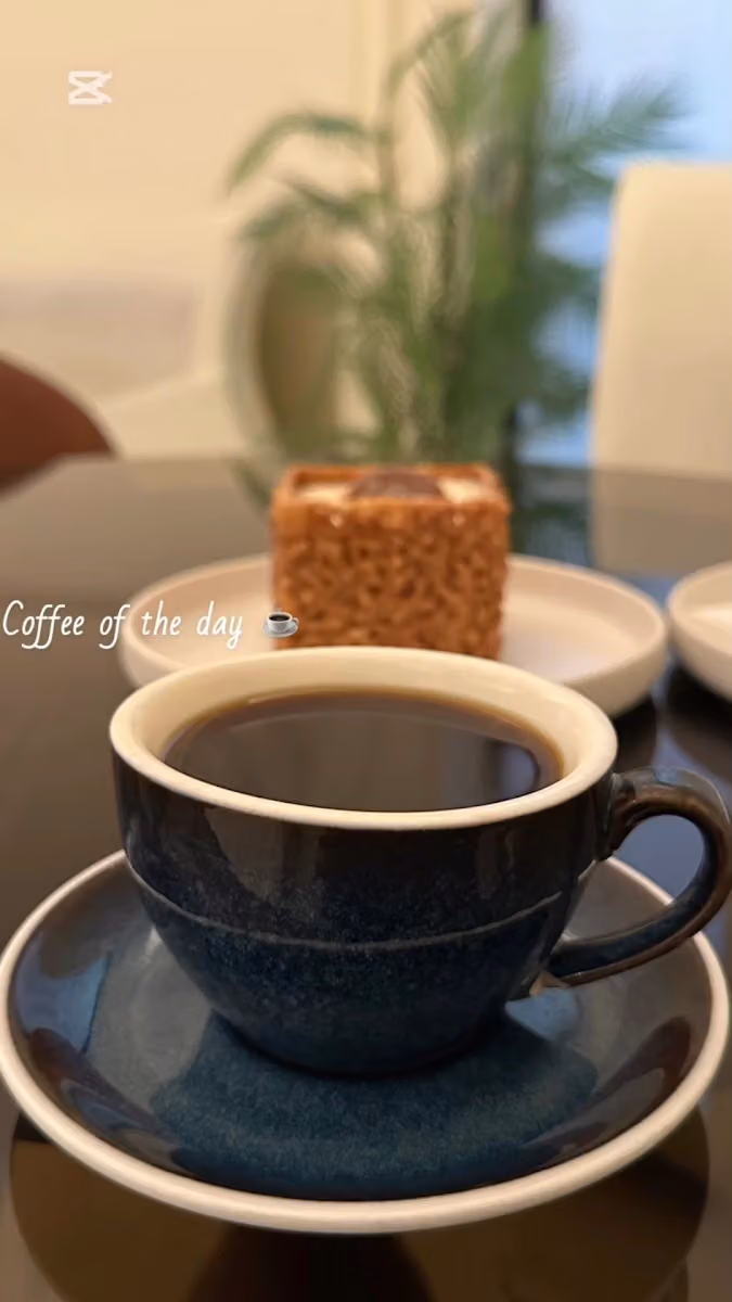 ديار بيكري