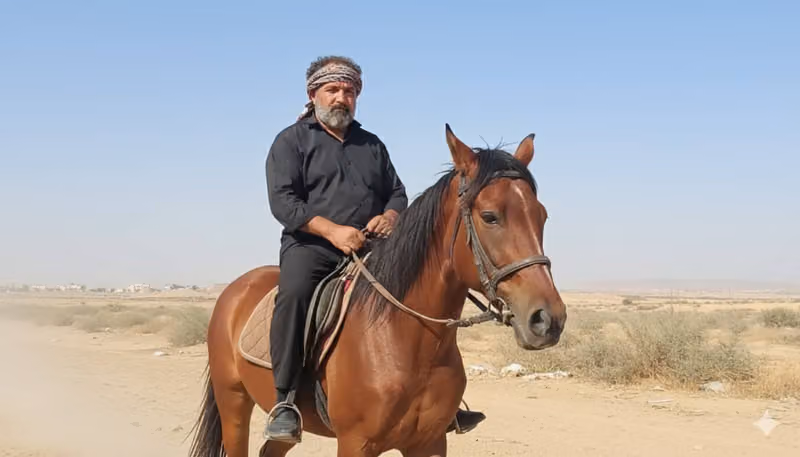 ديوانية ابو المير