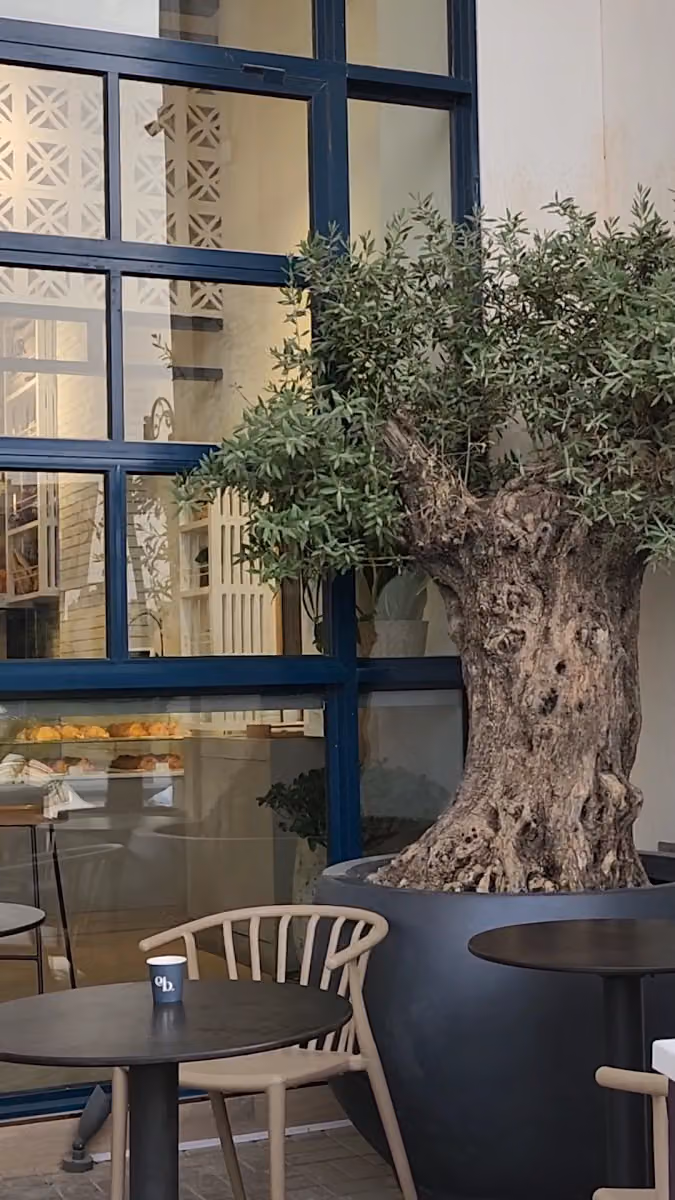 ايزي بيكري